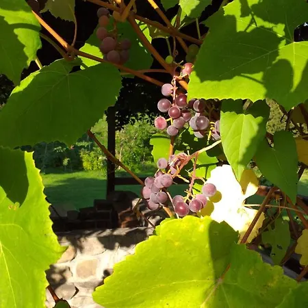 Joniec Malgorzata Мини-отель Dobra (Limanowa)