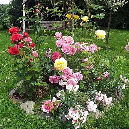 Joniec Malgorzata * Dobra (Limanowa)