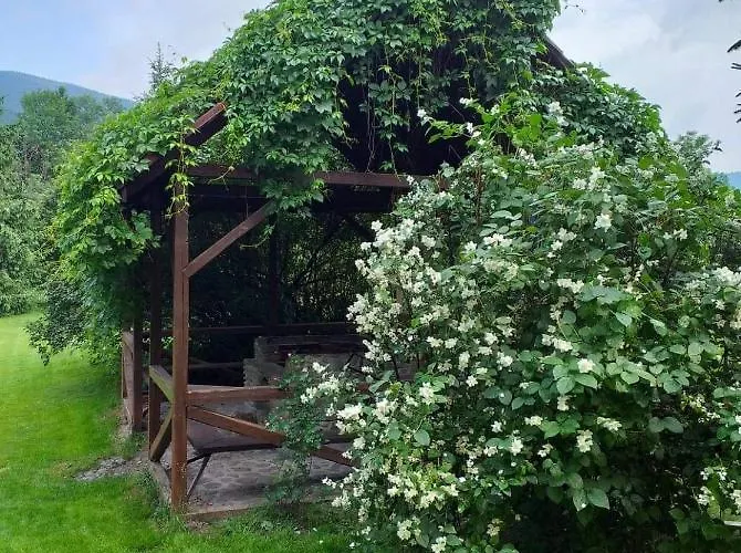 Joniec Malgorzata Dobra (Limanowa)