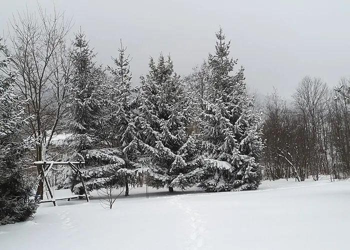 Inn Joniec Malgorzata *