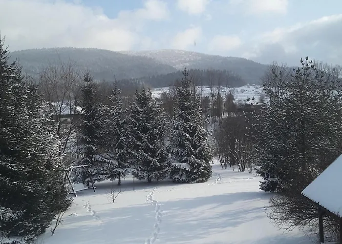 Joniec Malgorzata Inn *