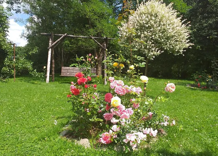 Inn Joniec Malgorzata