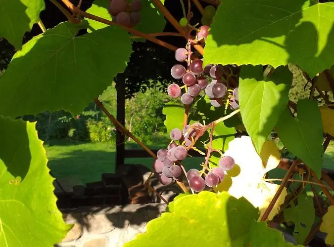 Joniec Malgorzata Inn Dobra (Limanowa)