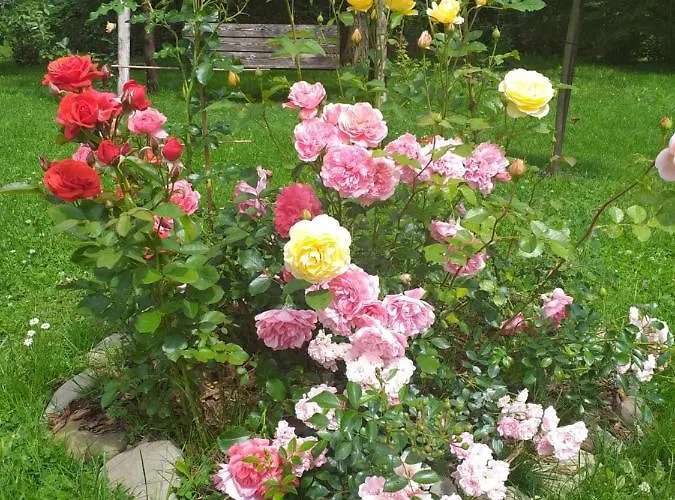 Joniec Malgorzata Inn