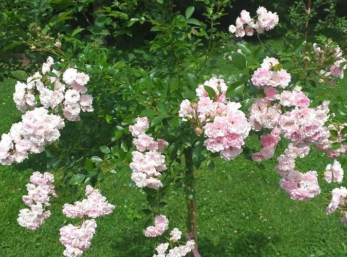 Joniec Malgorzata Inn