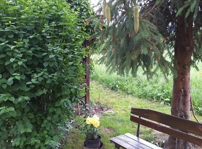 Joniec Malgorzata Inn *